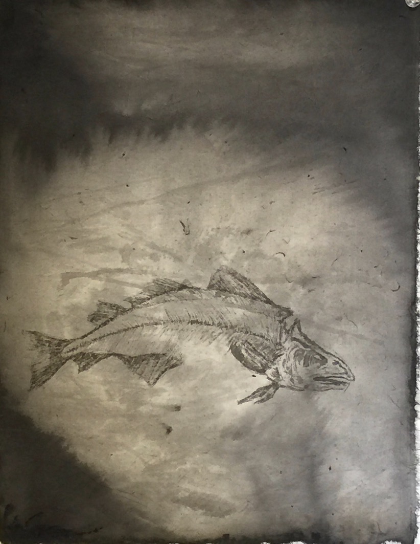 Fish 2 魚 2 Sumi ink 墨41 X 32 cm about 2013