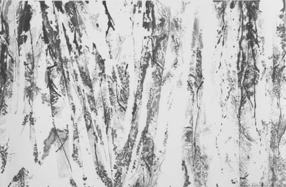 Splintered woods 1 亀裂の森 1 35 cms x 53 cms 2006