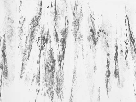 Splintered woods 2 亀裂の森 2 35 cms x 46 cms 2006