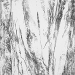 Splintered woods 4 亀裂の森 4 33 cms x 35 cms 2006