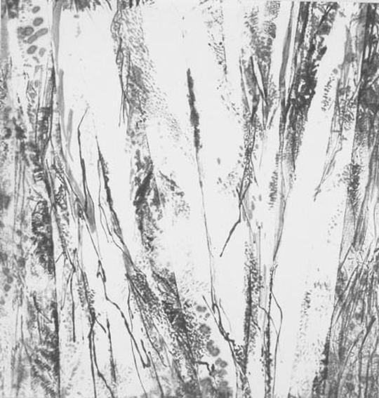 Splintered woods 4 亀裂の森 4 33 cms x 35 cms 2006
