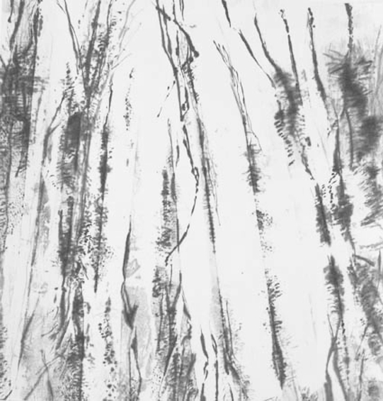 Splintered woods 5 亀裂の森 5 33 cms x 35 cms 2006